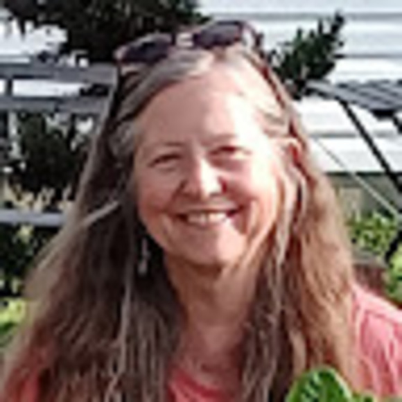 lampherebarbara